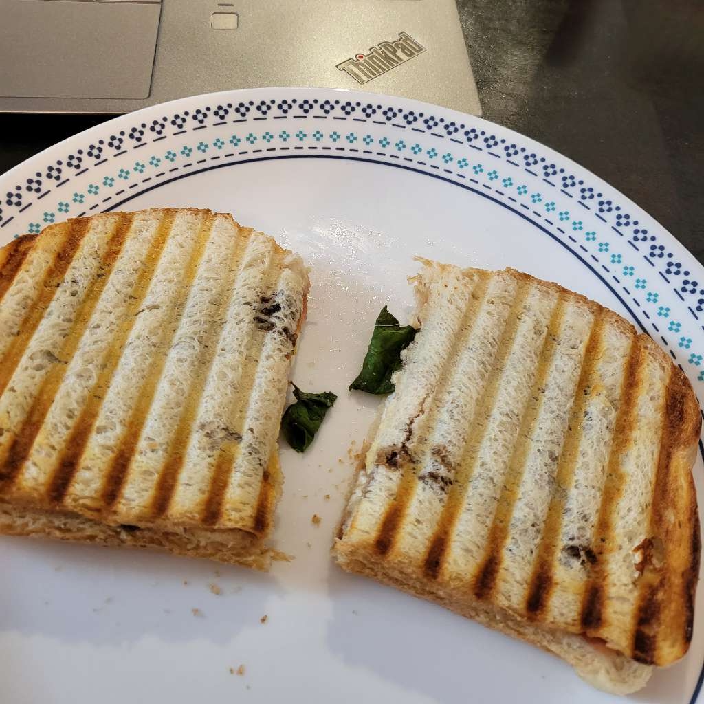 Tomato and mozzarella panini, cut in half, on a plate