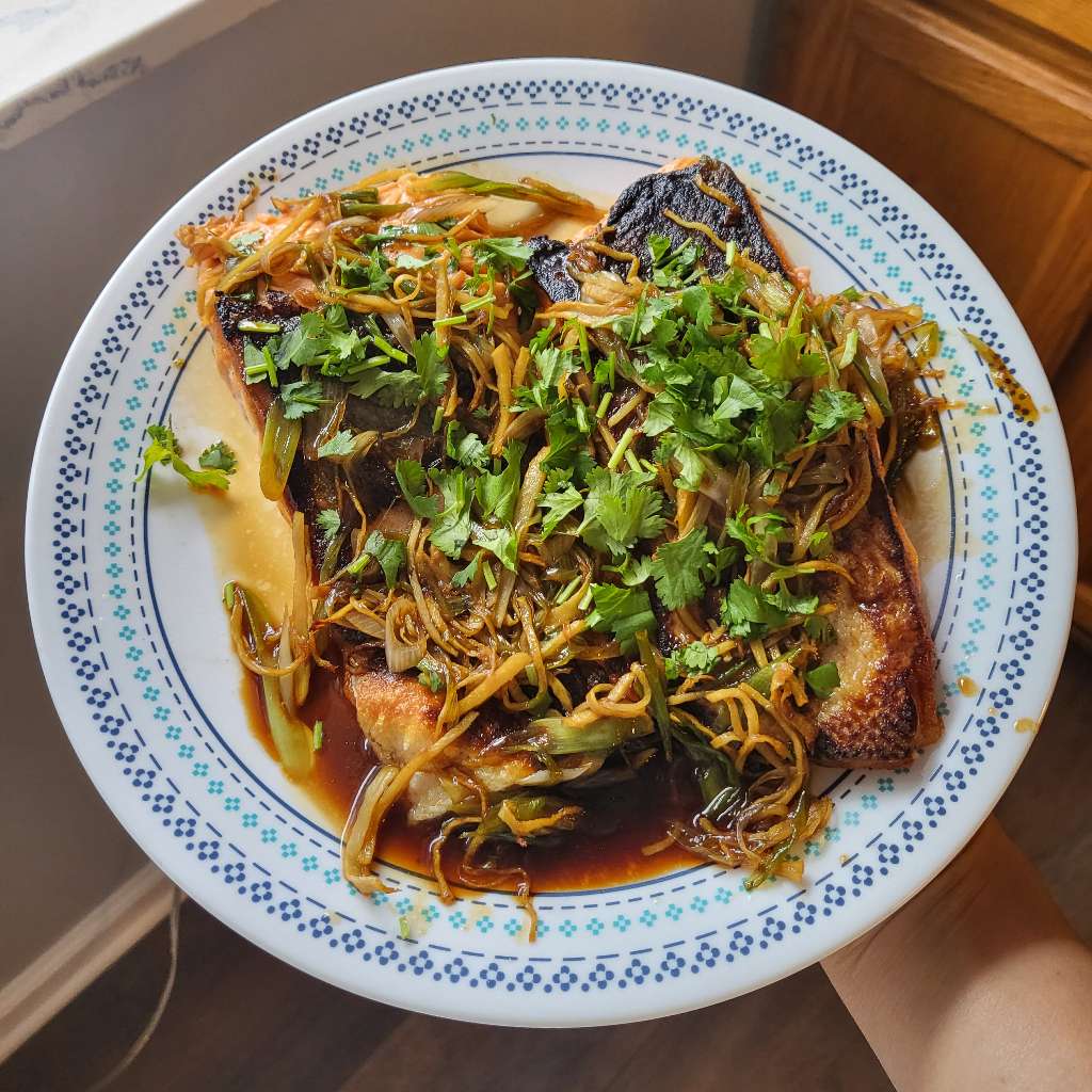 My hand is holding up a plate of two cooked salmon pieces topped with scallion, ginger, cilantro, and soy sauce