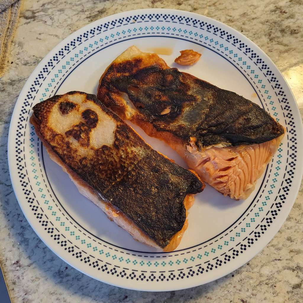 Two pieces of burnt salmon on a plate