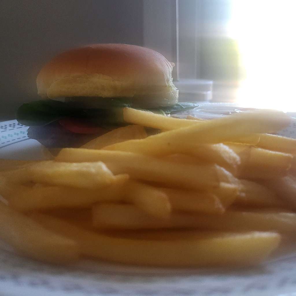 A really blurry photo of a burger I made